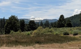 img_20190625_140341